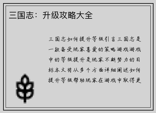 三国志：升级攻略大全